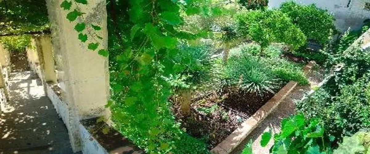 Foto 3 Giardino della Minerva