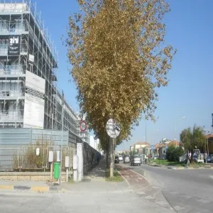 Foto de Lungomare