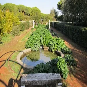 Foto de Terme Taurine