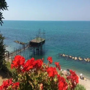 Foto de Trabocchi