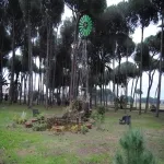 Foto 3 Il Parco di Villa Guglielmi